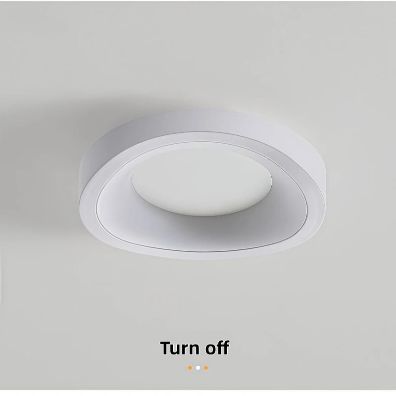 Nordic Personalized Art Ceiling Light Modern Simple White Aisle Light Living Room Restaurant Bedroom Decor Creative Ceiling Lamp