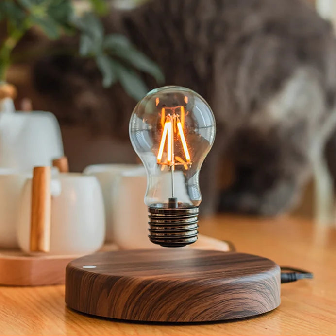 Magnetic Levitation Floating Glass LED Bulb Desk Lamp for Home Office and Birthday Gift